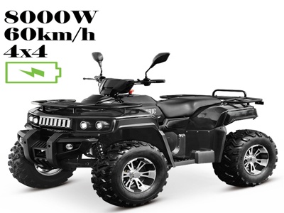 Новейшие Электрические Квадроциклы,4 Колеса,8000 Вт,4x4