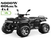 Новейшие Электрические Квадроциклы,4 Колеса,8000 Вт,4x4