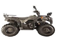 Eec Coc 200cc 4 Wheeler Дорожная Правовая Коляска Для Квадроцикл Atv
