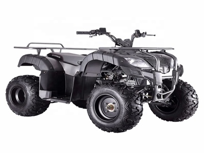 Китай (материк) 4 Колеса Квадроцикл 4-тактный Спортивный Atv 200cc Для Взрослых