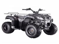 Китай (материк) 4 Колеса Квадроцикл 4-тактный Спортивный Atv 200cc Для Взрослых