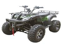 Дешевый Ev Quad Bike 1500w Electric Atv
